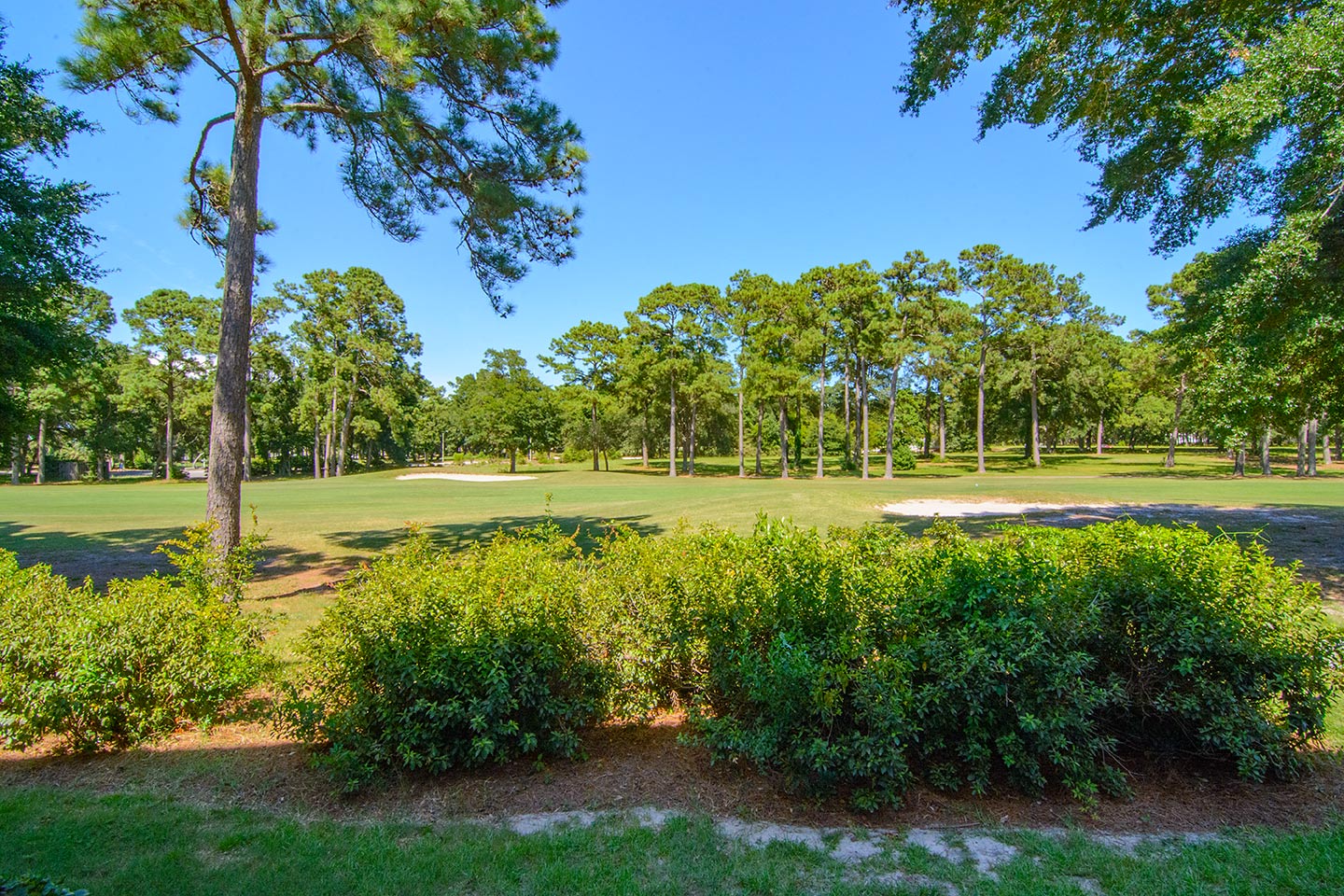 Sea Trail Plantation condominiums for sale 205 Royal Post